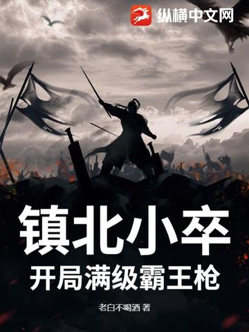 镇北王小说